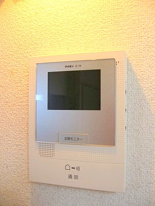 Security. It is the intercom with monitor