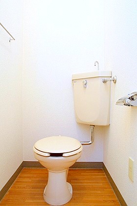Toilet. Clean to clean already toilet
