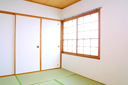 Other room space. It is a serene Japanese-style