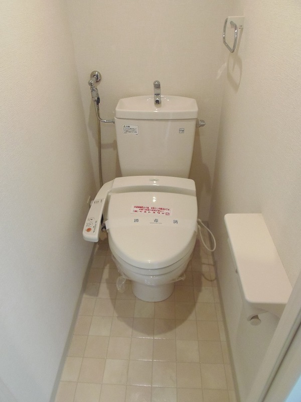 Toilet. Bidet with toilet