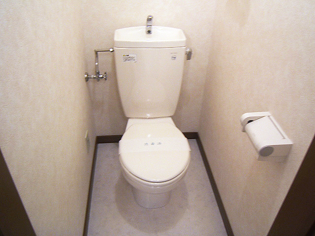 Toilet. It is a toilet with a clean