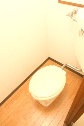 Toilet. Shiny is also a toilet