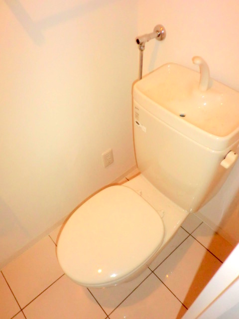 Toilet. It is very beautiful