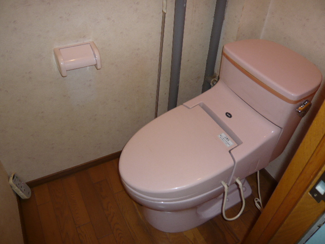 Toilet. It comes with warm water cleaning toilet seat. 