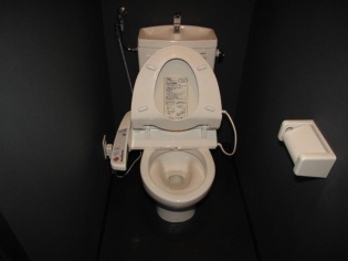 Toilet. Stylish toilet!