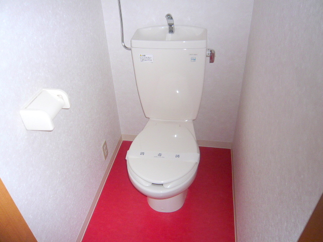 Toilet. Clean toilet