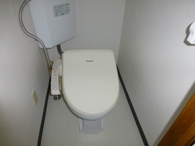 Toilet. It is now essential equipment! 