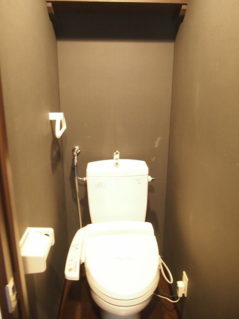 Toilet. Design is a cross of stylish toilet with bidet! !