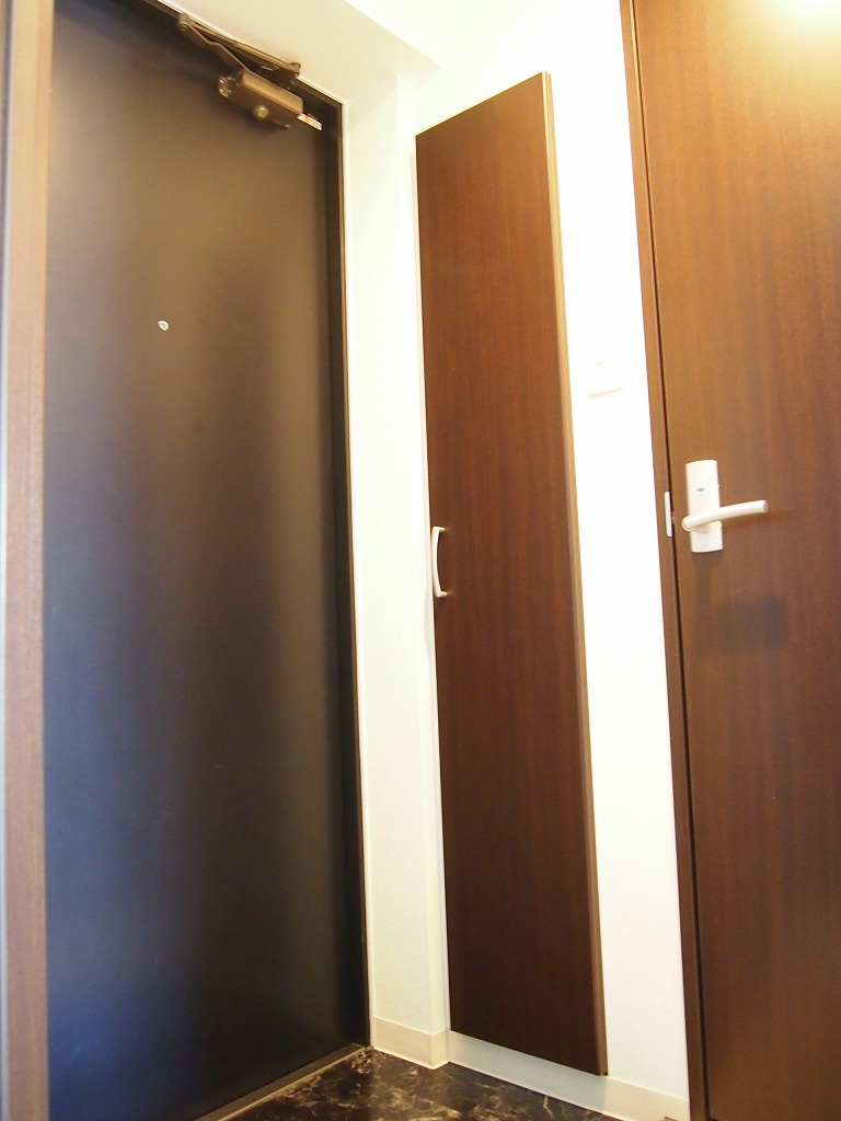 Entrance. It comes with a shoe box in the foyer