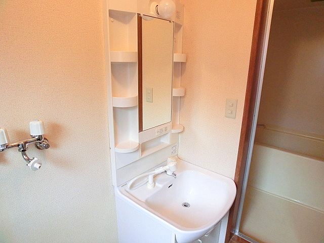 Washroom. Shampoo dresser is attached! 