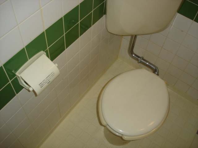 Toilet