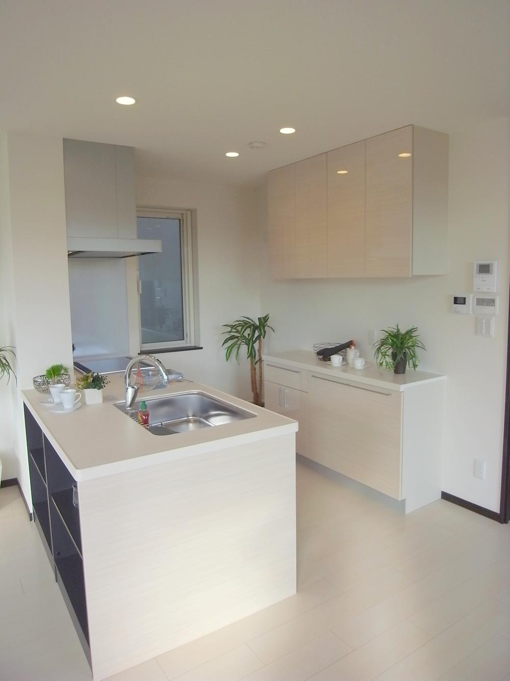 Kitchen. Standard established the cupboard was appointed a silent rail. Indoor (11 May 2013) Shooting