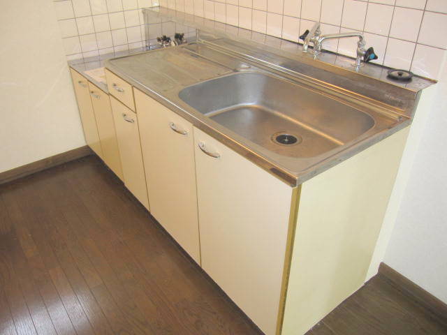 Kitchen. Shiny kitchen