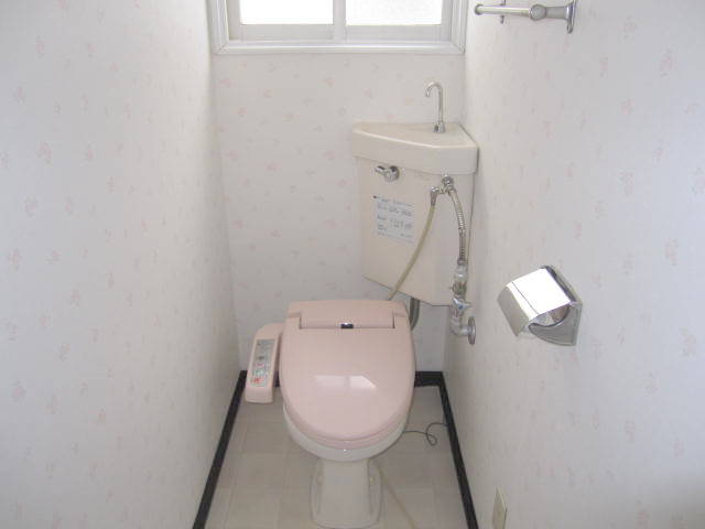 Toilet. It will clean toilet