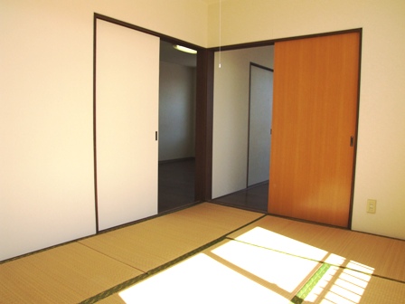 Other room space. Japanese style room