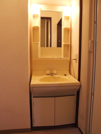 Washroom. Bathroom vanity