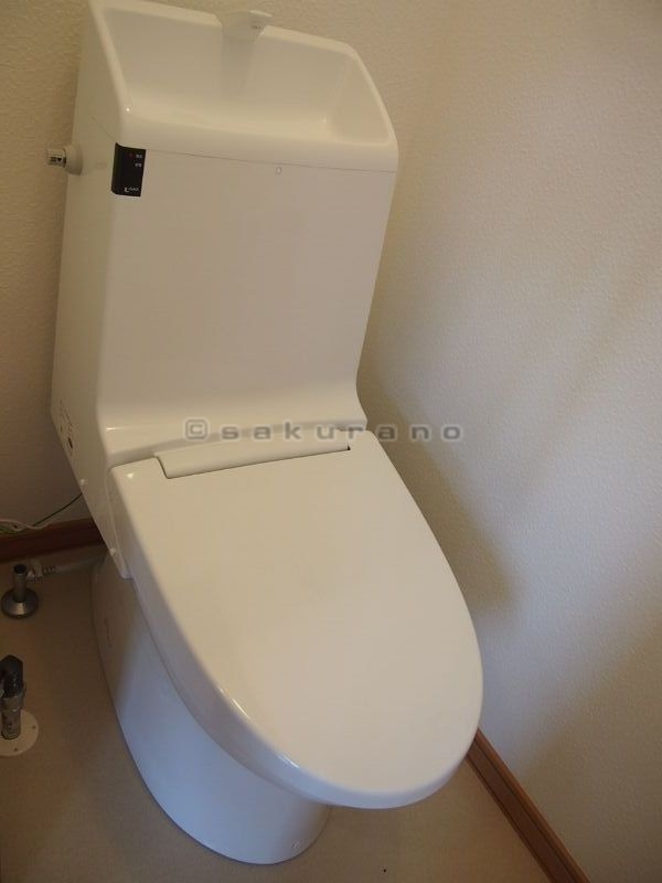 Other. Toilet