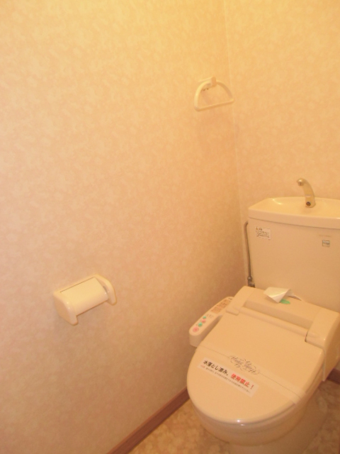 Toilet. It is a clean toilet with a bidet. 