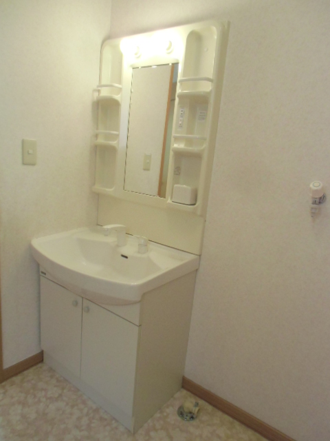 Washroom. High-demand equipment, Shampoo dresser! 