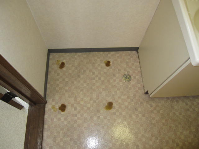 Washroom