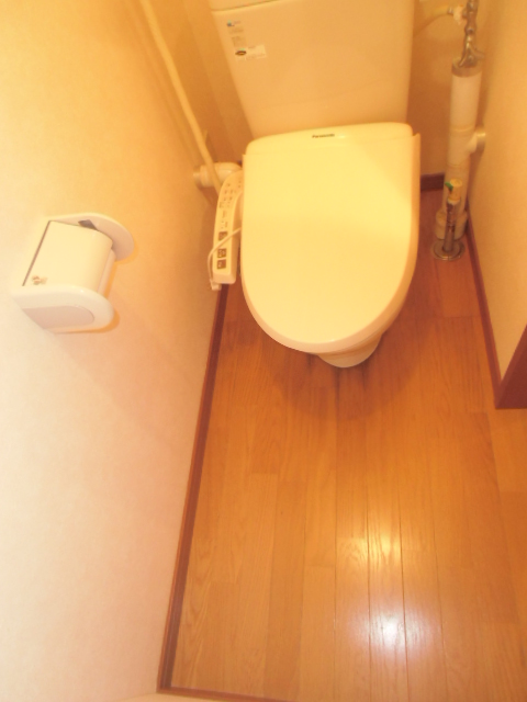 Toilet. Toilet Spacious! 