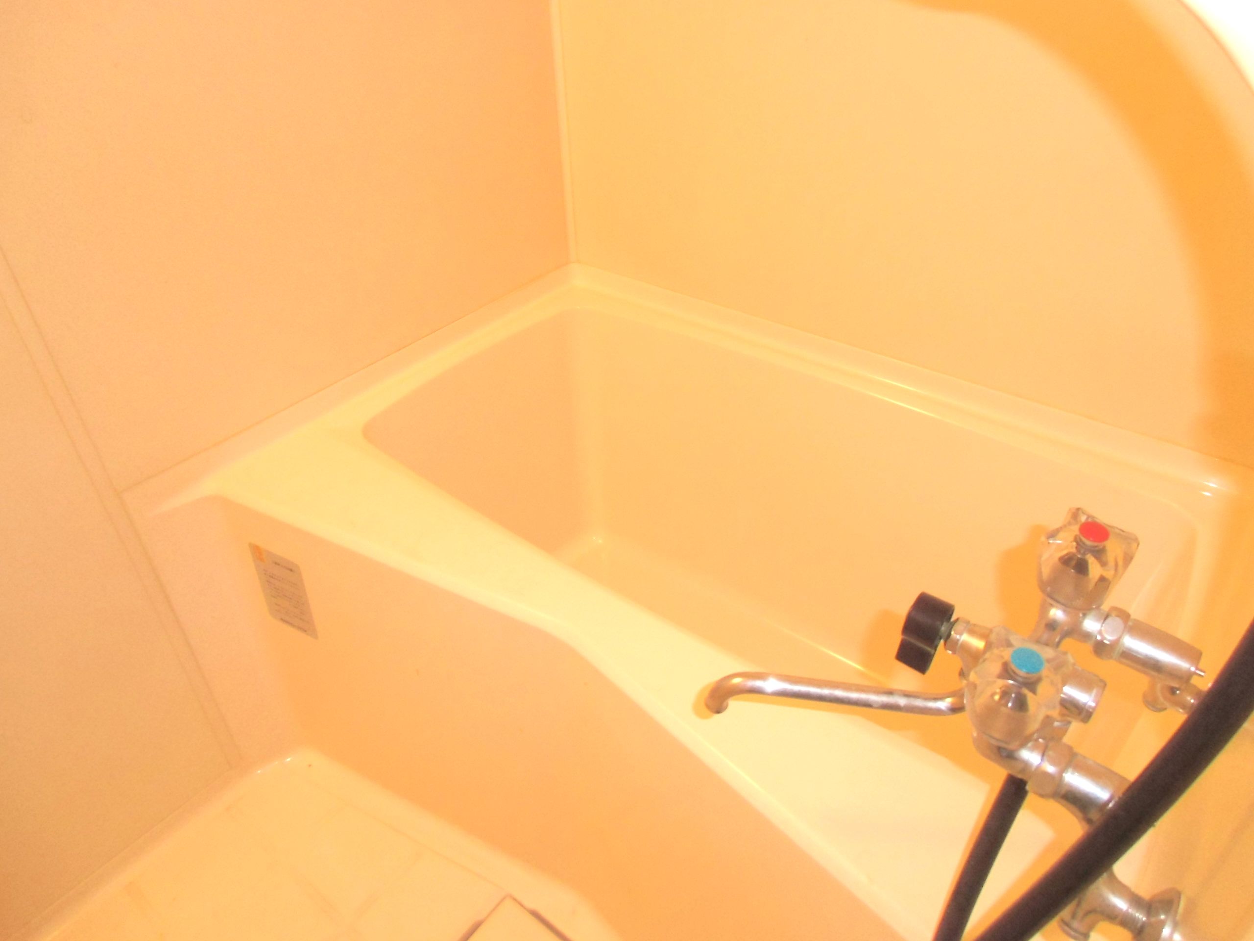 Bath. Spacious bathroom