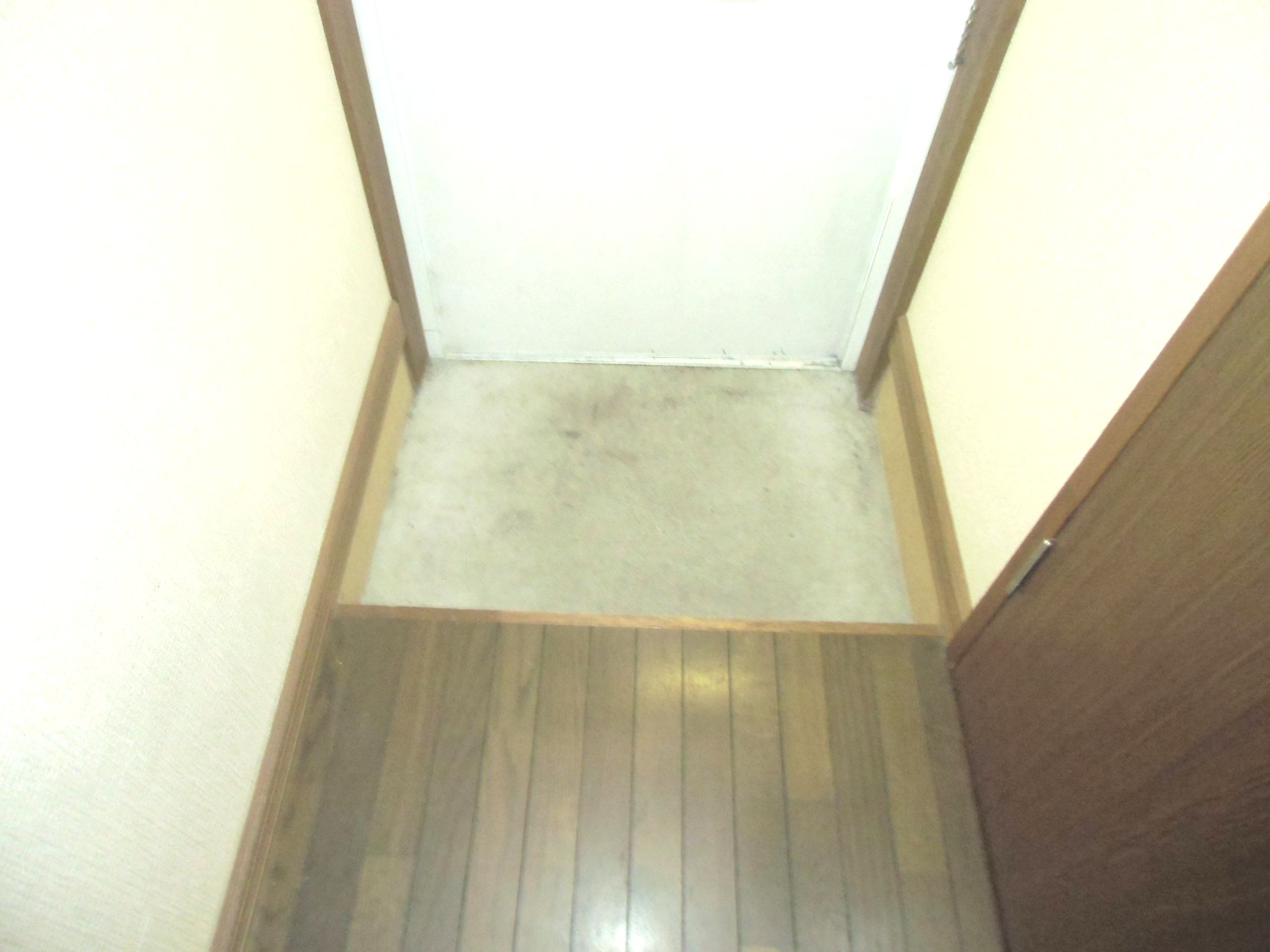 Entrance. It is entrance. Bright feelings is good