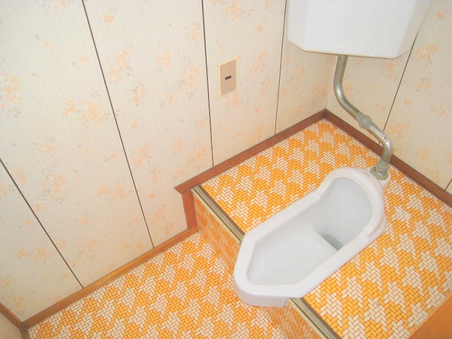 Toilet