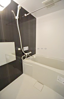 Bath. Spacious bathroom