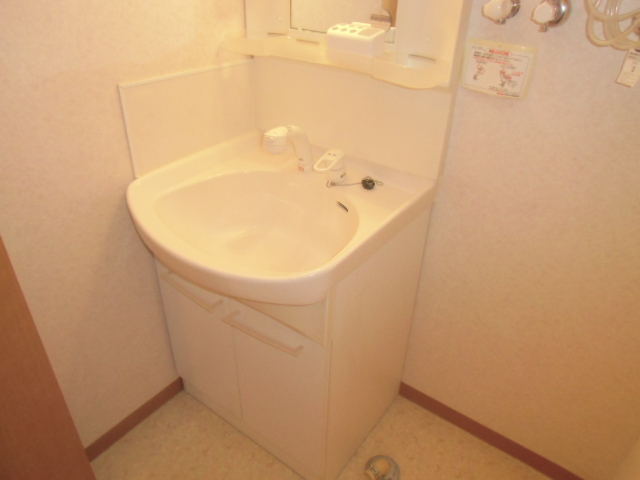Washroom. Of course, with shampoo dresser! It will contribute to the morning of the reduction of working hours! 