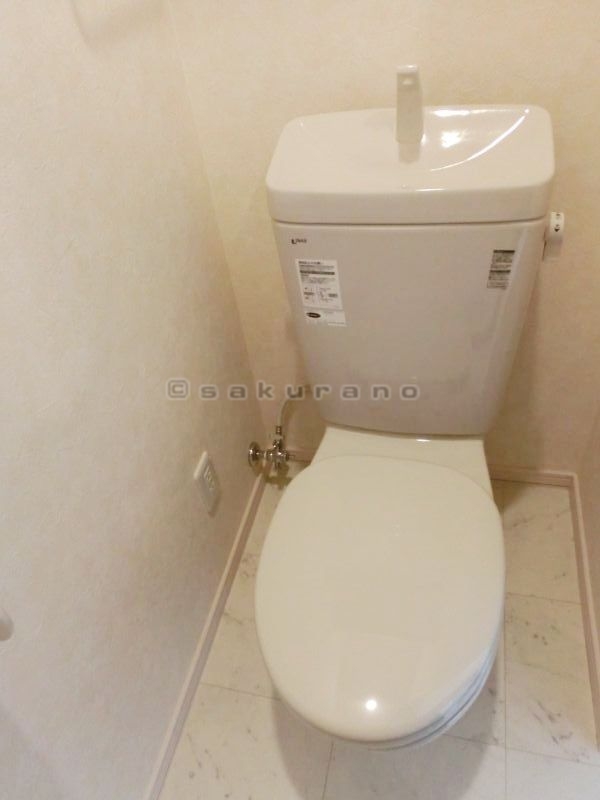 Other. Toilet