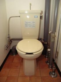 Toilet. Toilet spacious!