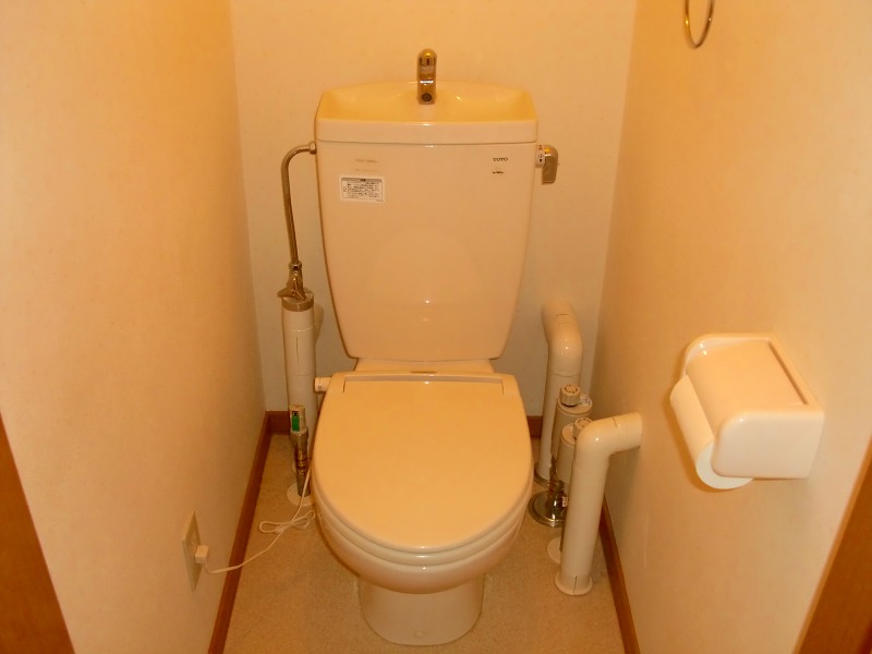 Toilet