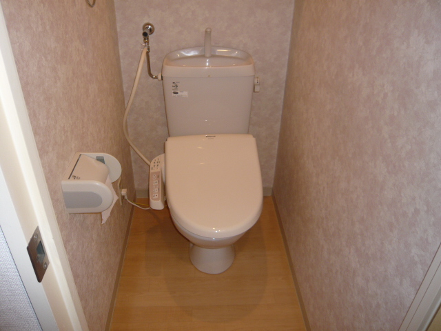 Toilet. It is with warm water washing toilet seat! 