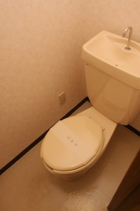 Toilet. It can warm water washing toilet seat cheap mounting