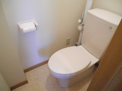 Toilet. Washlet does not come with what is shiny