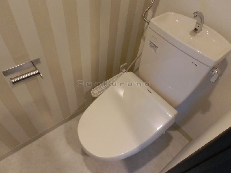 Toilet. Comfortable with warm water washing toilet seat to the toilet