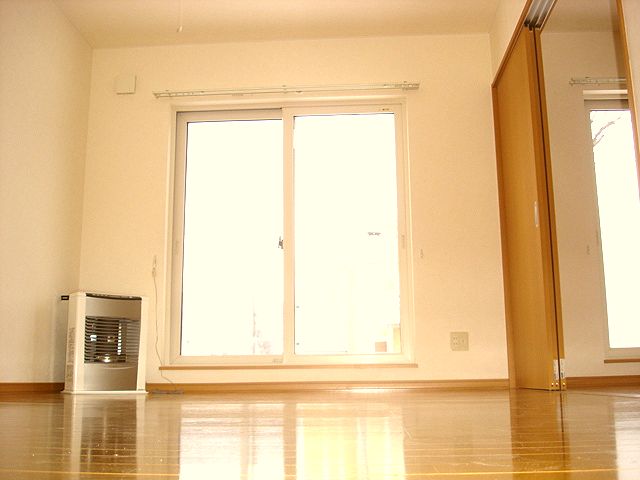 Living and room. Sunny bright living