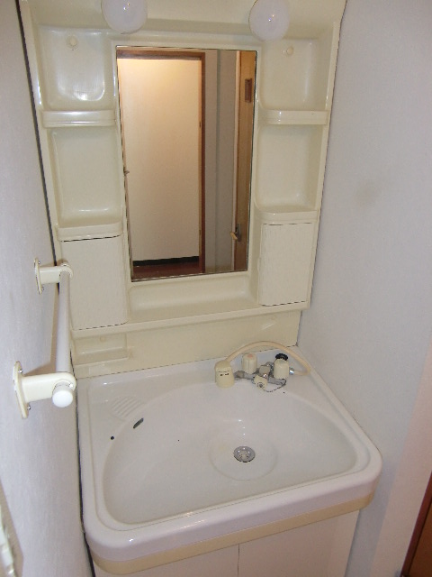 Washroom. Shampoo dresser