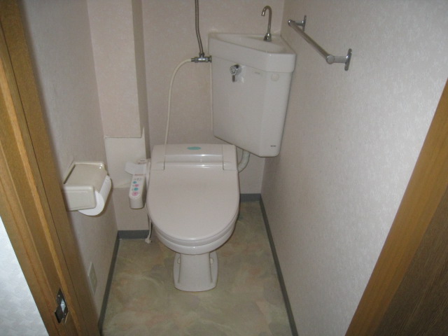 Toilet. It comes with shower toilet