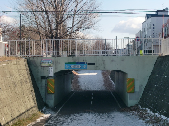 Other. 300m up cycling road (Other)