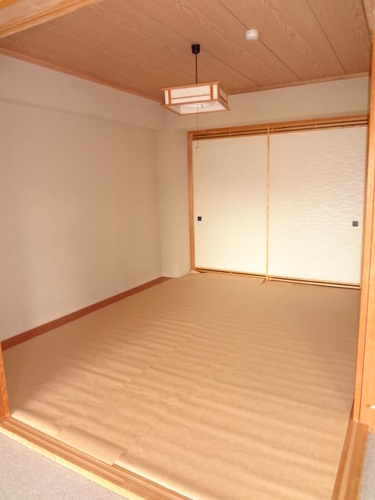 Other room space. Japanese style room