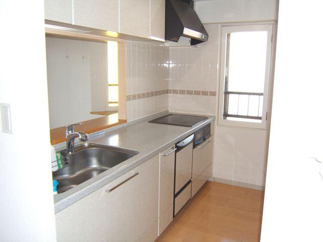 Kitchen. Indoor (12 May 2013) Shooting