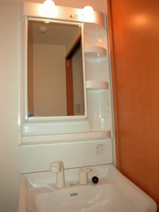 Washroom. Shampoo dresser