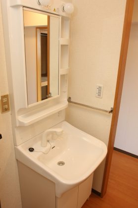 Washroom. Shampoo dresser