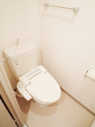 Toilet. Toilet with a bidet