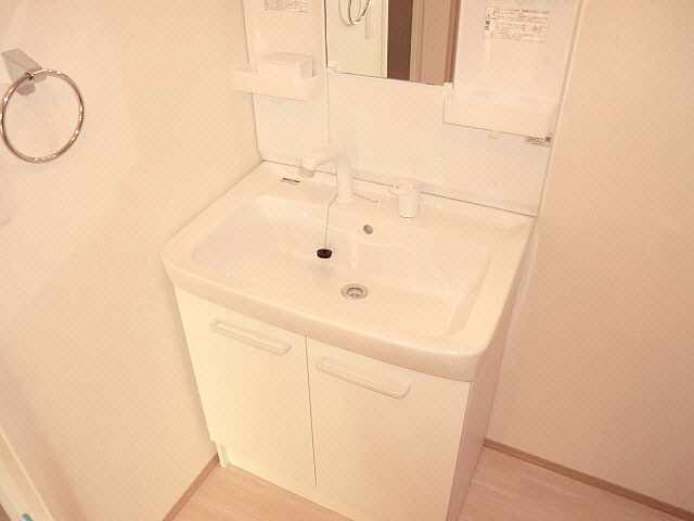 Washroom. Shampoo dresser