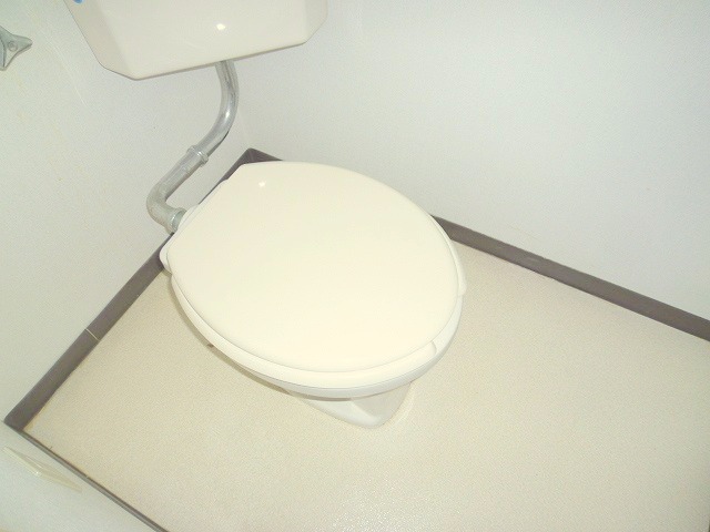 Toilet. Toilet