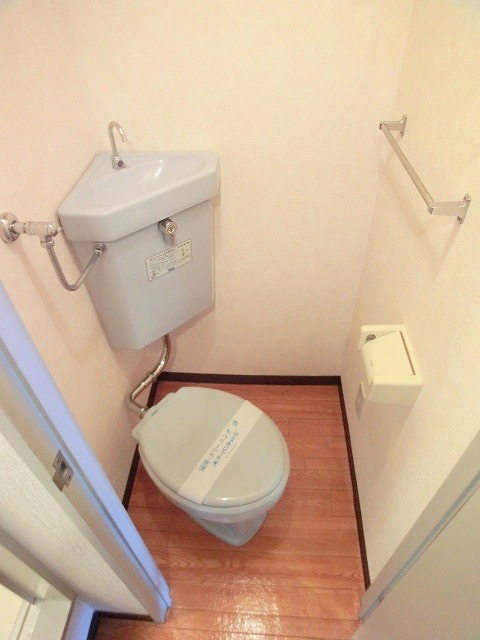 Toilet. But it is a little smaller, Is Single toilet