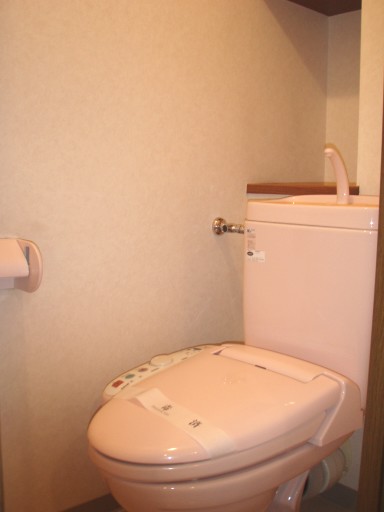 Toilet. With Washlet